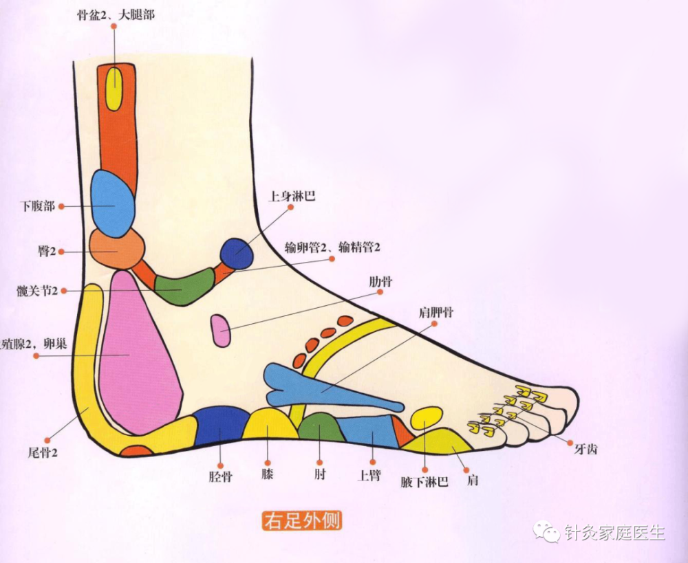 可以按摩脚跟内侧的前列腺反射区和脚跟外侧的生殖腺反射区来缓解症状