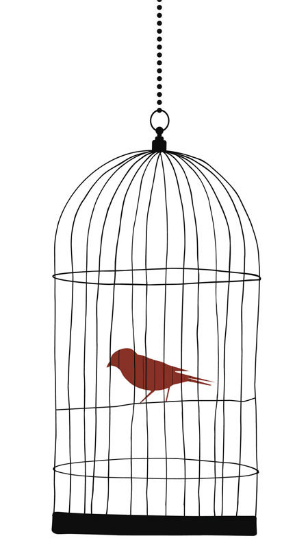 笼中之鸟(小说)