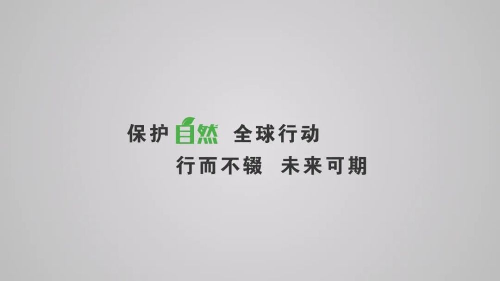 视频保护自然即刻行动