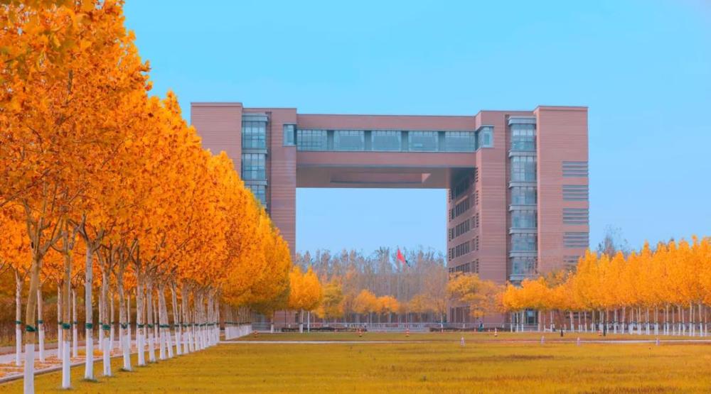 天津现代职业技术学院好不好德智体美劳五开花