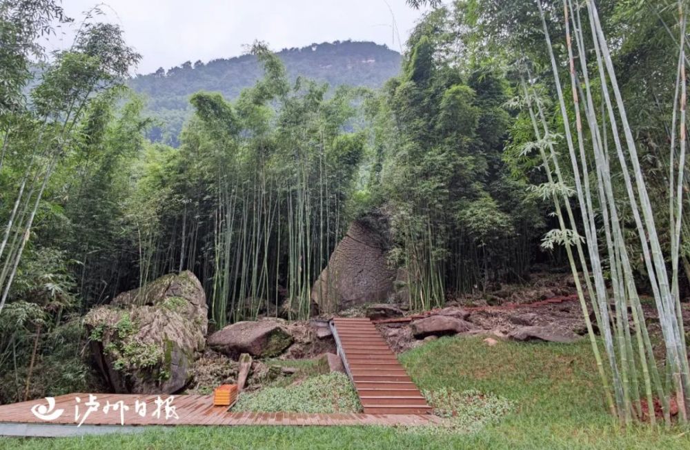 竹林风景线入口节点,依山就势保留留白空间,增设竹栈道,平台及休憩亭.