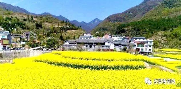 汉阴县茨沟村打造乡村振兴苏陕协作样板 腾讯新闻