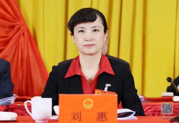 聚焦两会天津市津南区第十八届人民代表大会第一次会