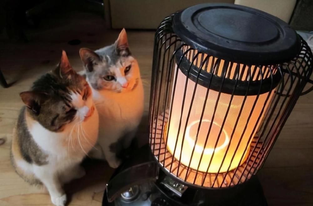 古人冬天如何取暖古籍中的插画曝光真相让人难以置信