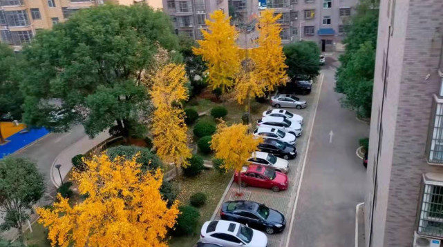 新增240个停车位宁乡为民办实事解决小区停车难