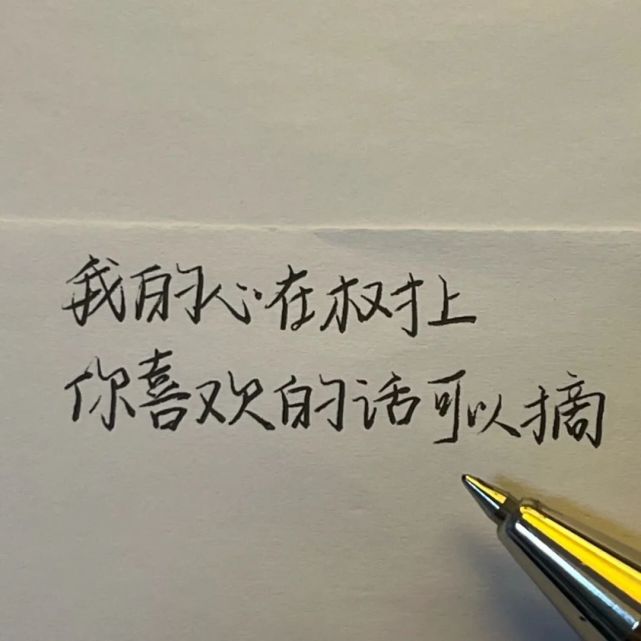 手寫文案丨撩男孩子的情話文案