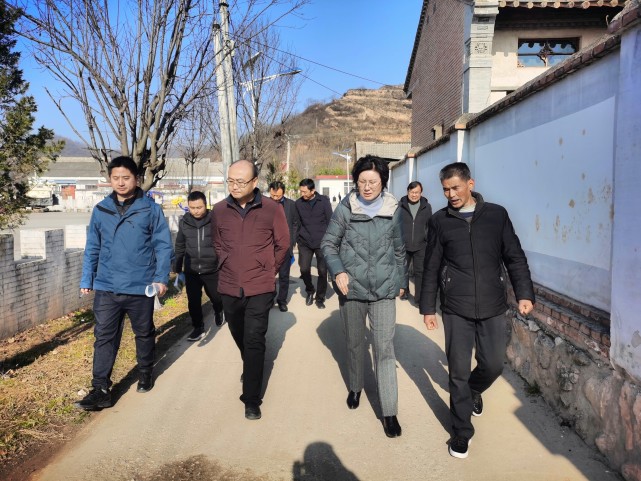 陇县县委副书记代县长李维芳在温水镇调研指导乡村振兴工作