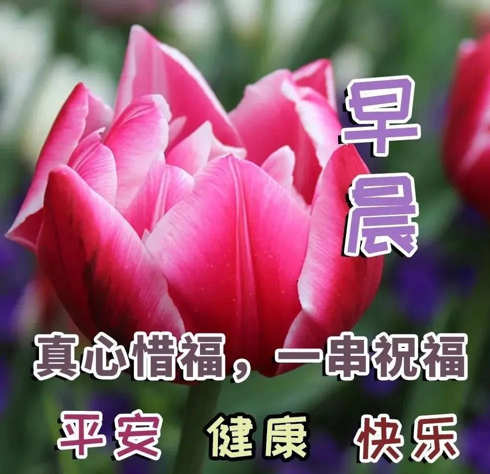 2021年12月15日清晨早上好問候祝福動態表情圖片最新早安問候祝福圖片