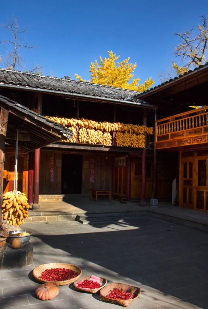 腾冲银杏村 腾讯新闻