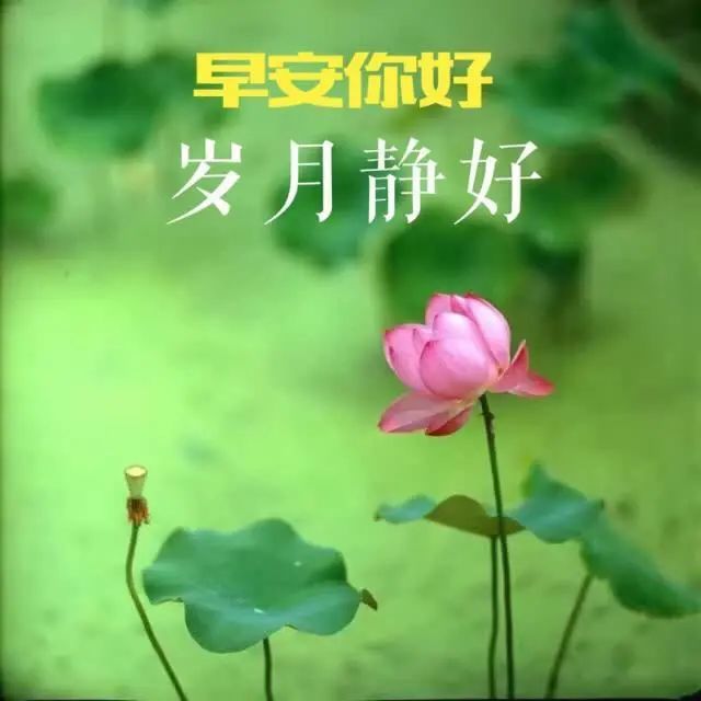 12月15日星期三最新清晨早上好問候語美圖早晨好祝福語暖心句子送給你