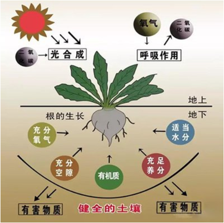 速看农资店一定要有植物营养元素木桶太好用