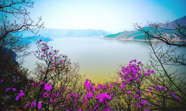 海林市莲花湖图联