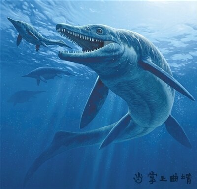 45亿年前,比恐龙稍微早一点,约9000万年前消失,比恐龙灭绝早约2500