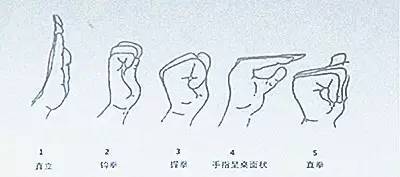 2,肌腱滑动训练:如上图5个动作,动作要领分别包括:手掌直立;钩拳;握拳