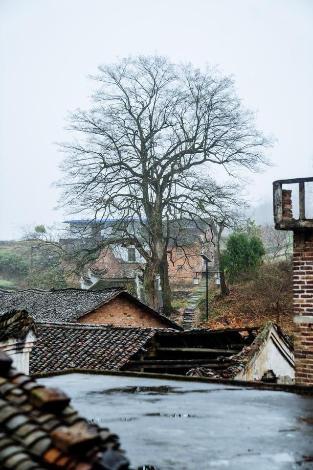 湖南这个村子堪比婺源,养在深闺的小桃源村,等你来发现