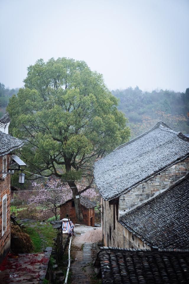 湖南这个村子堪比婺源,养在深闺的小桃源村,等你来发现