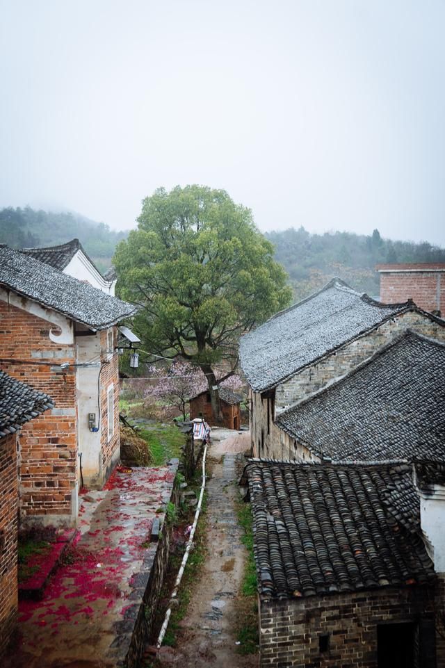 湖南这个村子堪比婺源,养在深闺的小桃源村,等你来发现