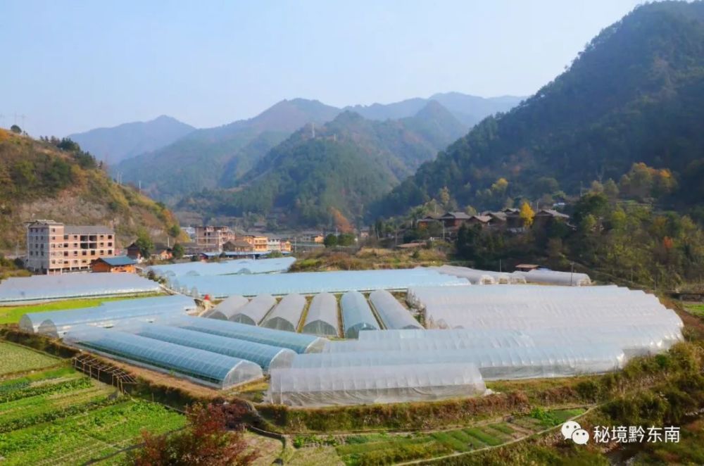 【时讯】剑河县岑松镇:开启农旅融合"莓"好时光_腾讯新闻