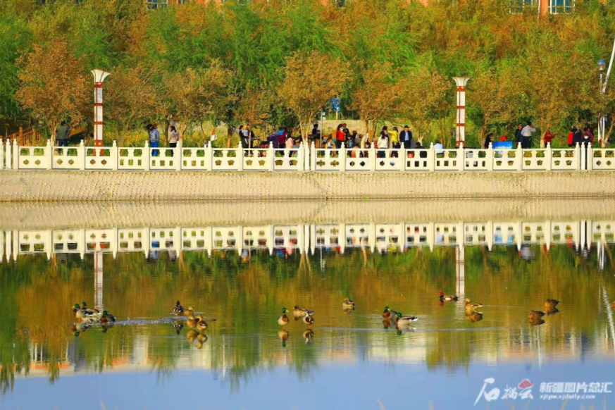 今年11月19日,生態環境部公佈前10個月全國地級及以上城市地表水質