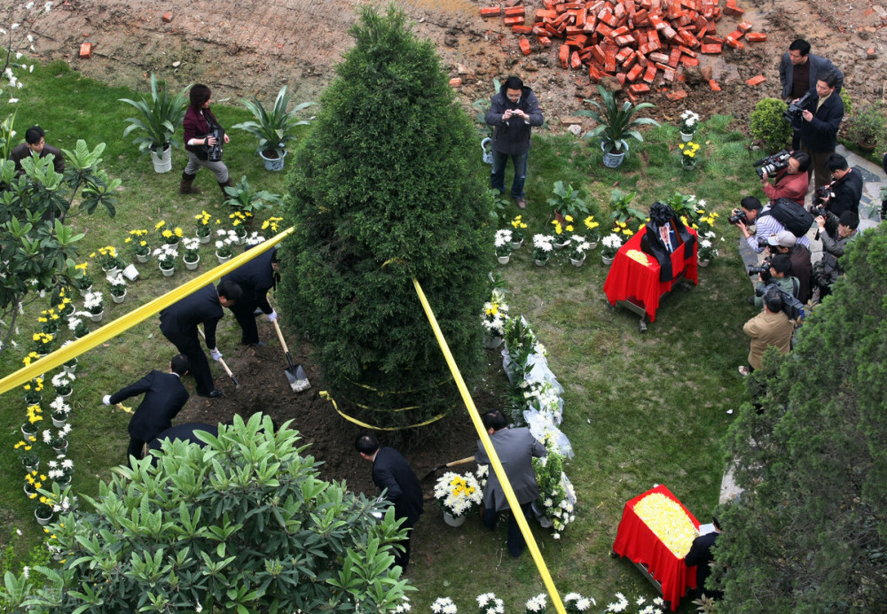 土葬火葬后新型树葬来了骨灰放入树洞你能接受吗