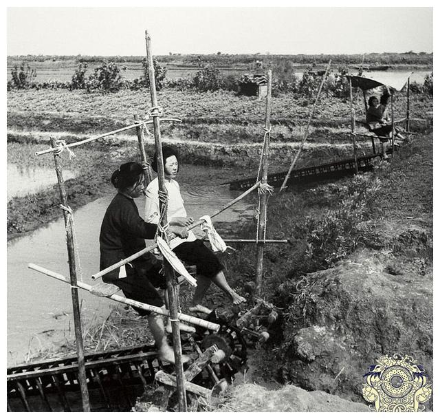 50年代中国女性老照片图三美女正在杀猪