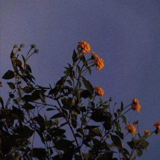 被爱的前提是漂亮吗-马珂要开心