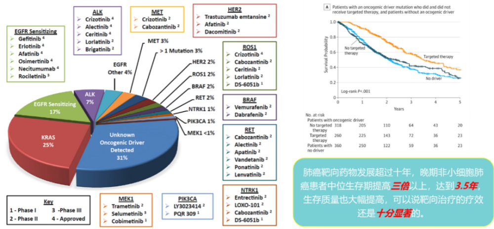 收藏肺癌43种精准治疗方案总结全了