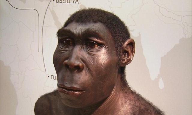 500万年前的人类图片图片
