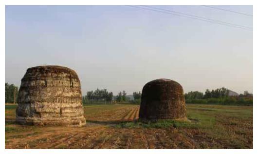 苏麻喇姑曾经抚养过和亲王胤祹,老贵人则抚养过懿亲王弘昼.