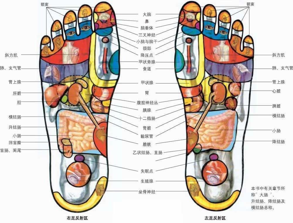 脚部穴位图足疗口诀