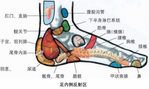 足部养生五字口诀四.