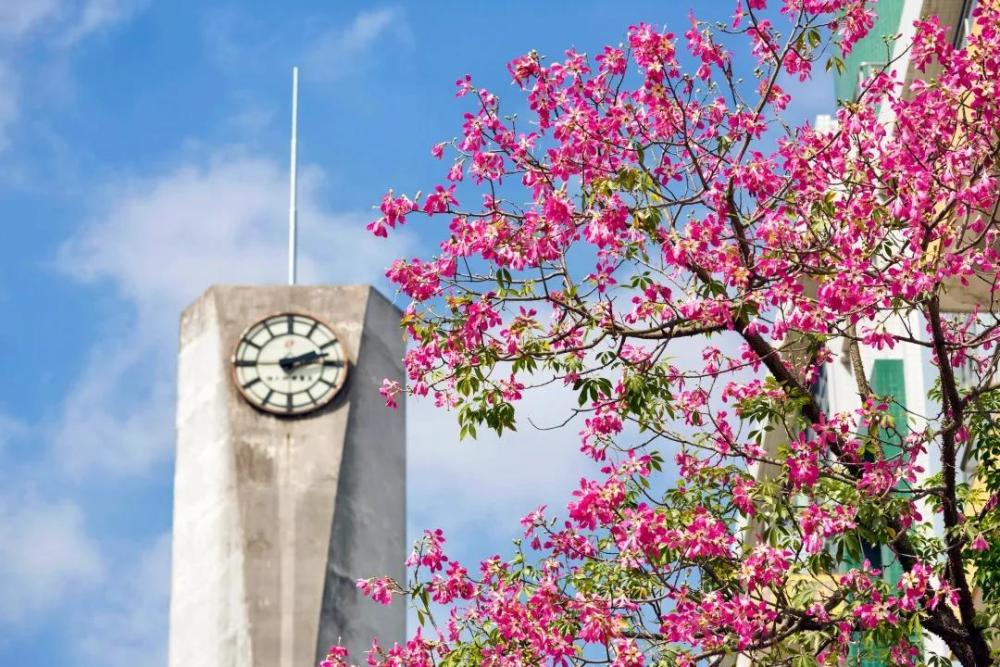 华南农业大学好不好,非农专业怎么样?实力强势!