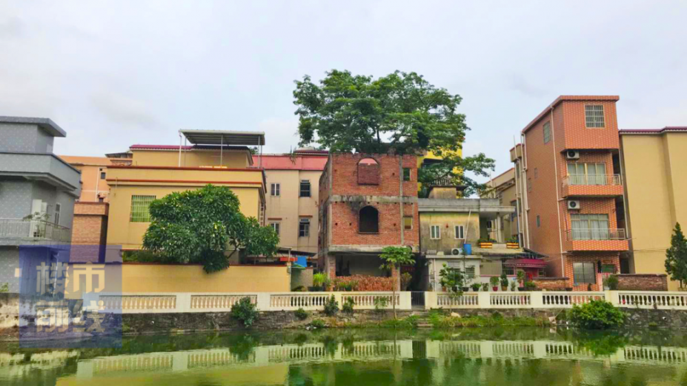 猝不及防番禺明经村旧改凉了升龙补偿旧村3000万