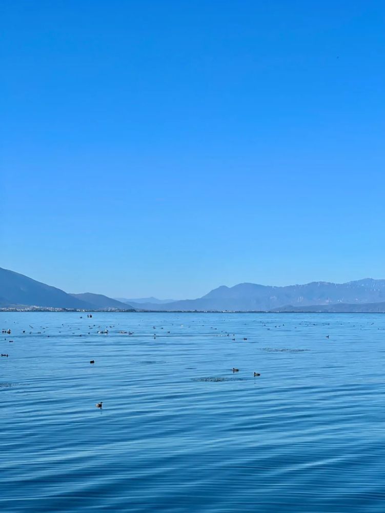 宅在大理海边的颜色