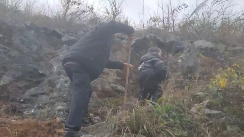 图片关键词