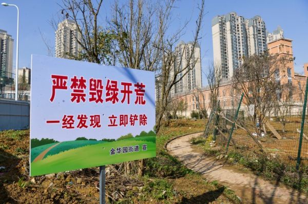 整治后,已铲除居民种植蔬菜,并撒了草籽,且放置了警示标牌"此次违规