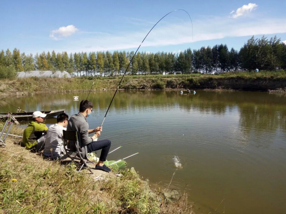 冬季野钓大鲤鱼,不妨试试这两个位置,大鲤鱼多半藏在这里