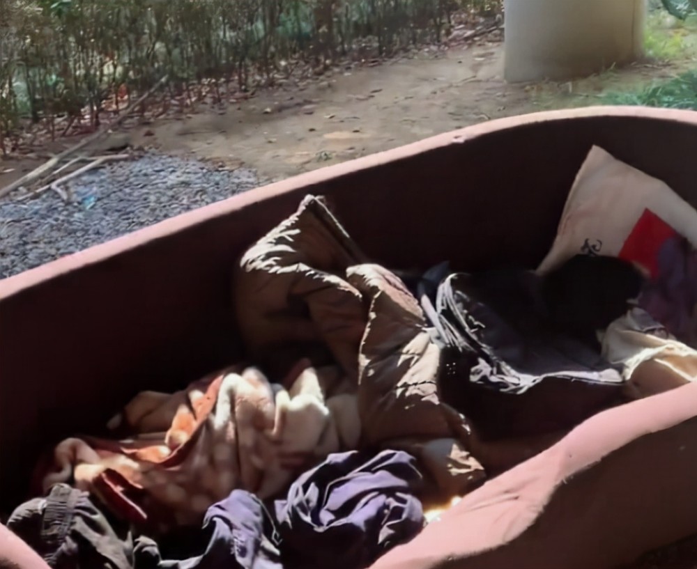 16岁男生每天睡公园不愿打工荒废度日保安大爷看着都着急