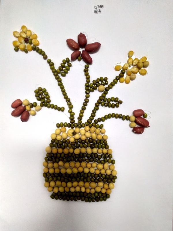 生物课堂变成艺术展,学生用种子"画"谷物画_腾讯新闻