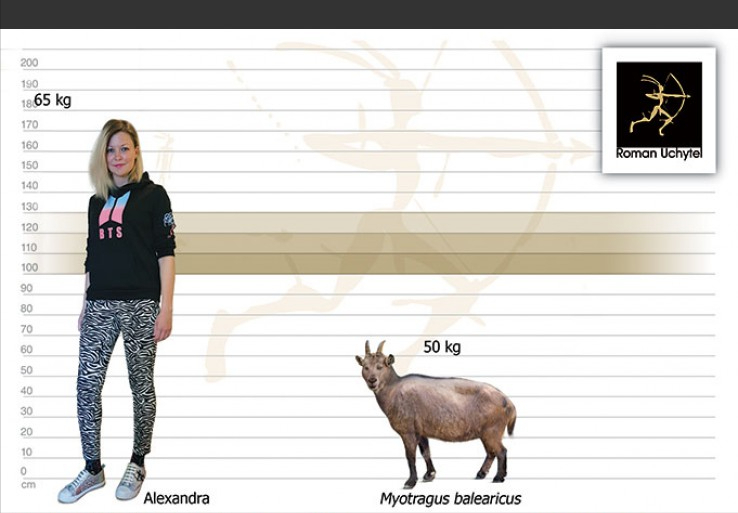 羊脸上长着人眼 骨头像蜥蜴 这种诡异生物和人类接触后迅速消失 腾讯新闻