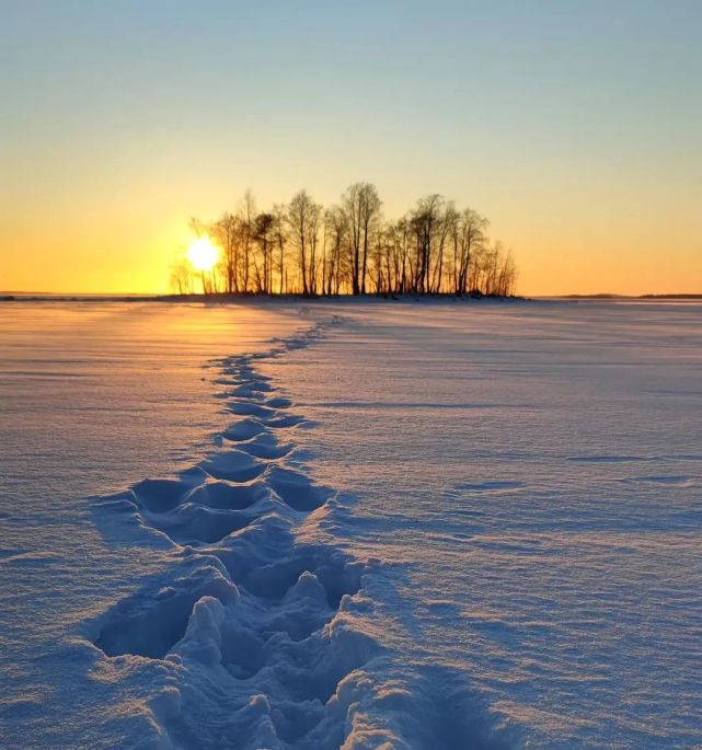 冰天雪地阳光普照