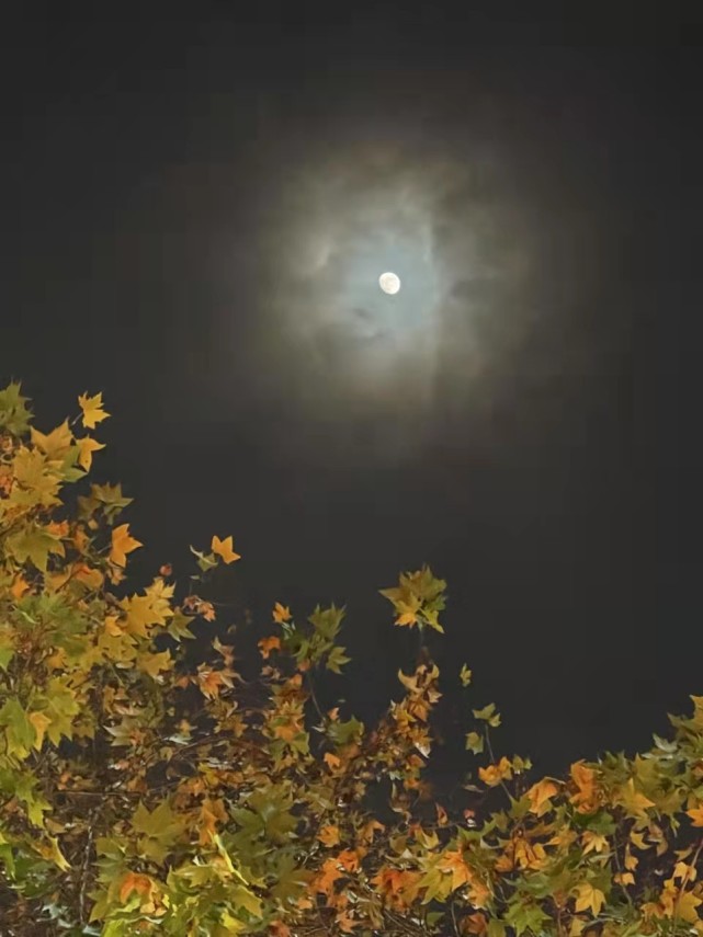 郑州上空现月华天象 未来几天河南风雨降温很热闹