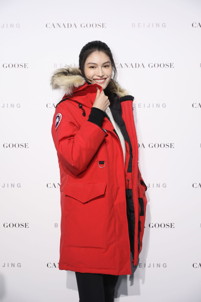 加拿大鹅:重金买鹅不太值