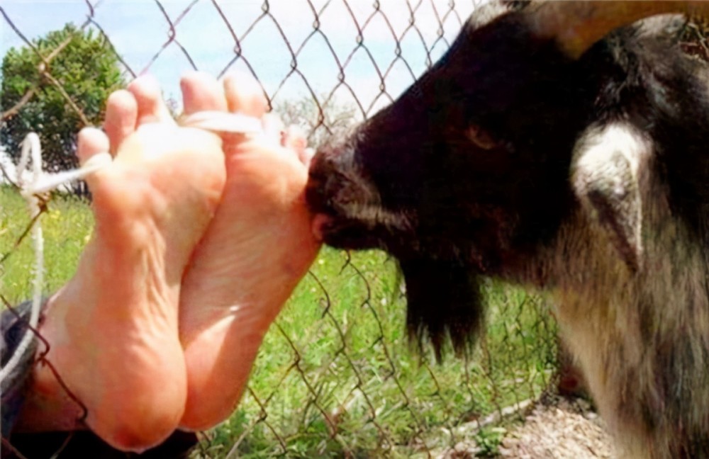 在笑刑之行之前,刽子手会利用手,牙签,刷子,羽毛等进行挠痒痒,增加