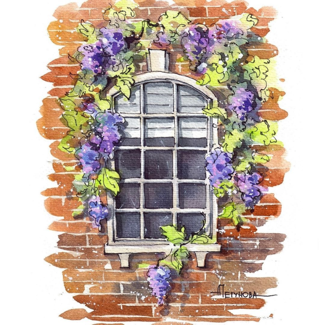 开满鲜花的窗户水彩画师annapetunova作品