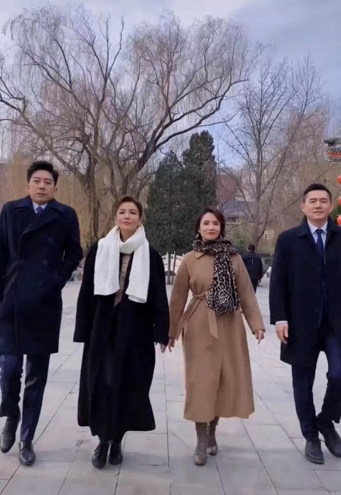 徐俐知性朱迅霸气 王冠"一本正经" 吴鹏冷得哆嗦_腾讯新闻