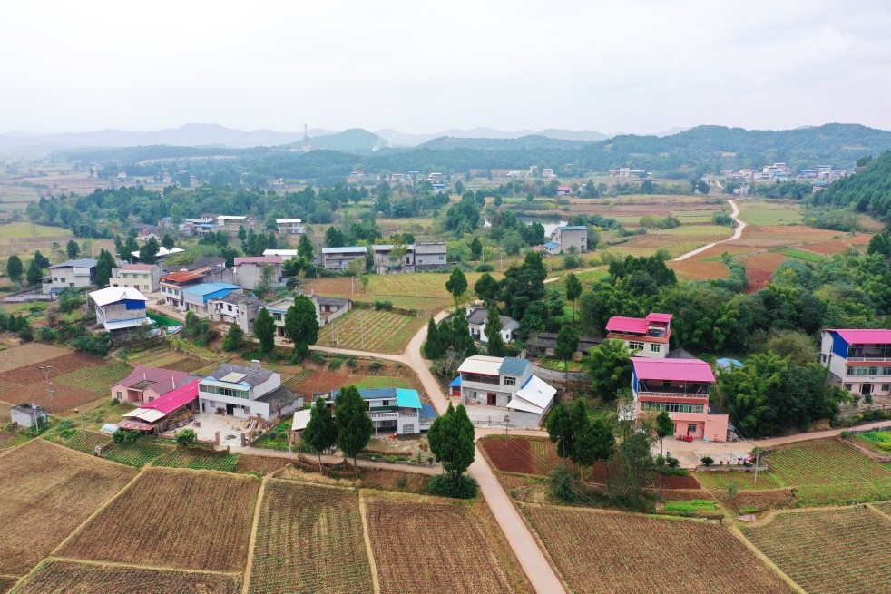三台县经济最好的镇,三台:向发展大县产业大县经济强县跃升-出走网