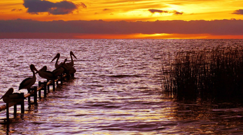 高安平一个用镜头拨动心弦的摄影家