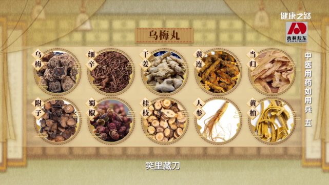 中医巧用连环计帮您解决疑难杂症丨健康之路