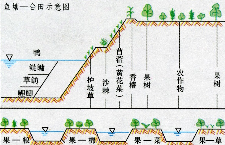 (2)另一方面是对盐碱地(春秋返盐,夏季淋盐,冬季盐分稳定)的治理:其